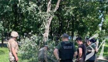 ������ �������� �� �������: ������� �������� ������ �� 3